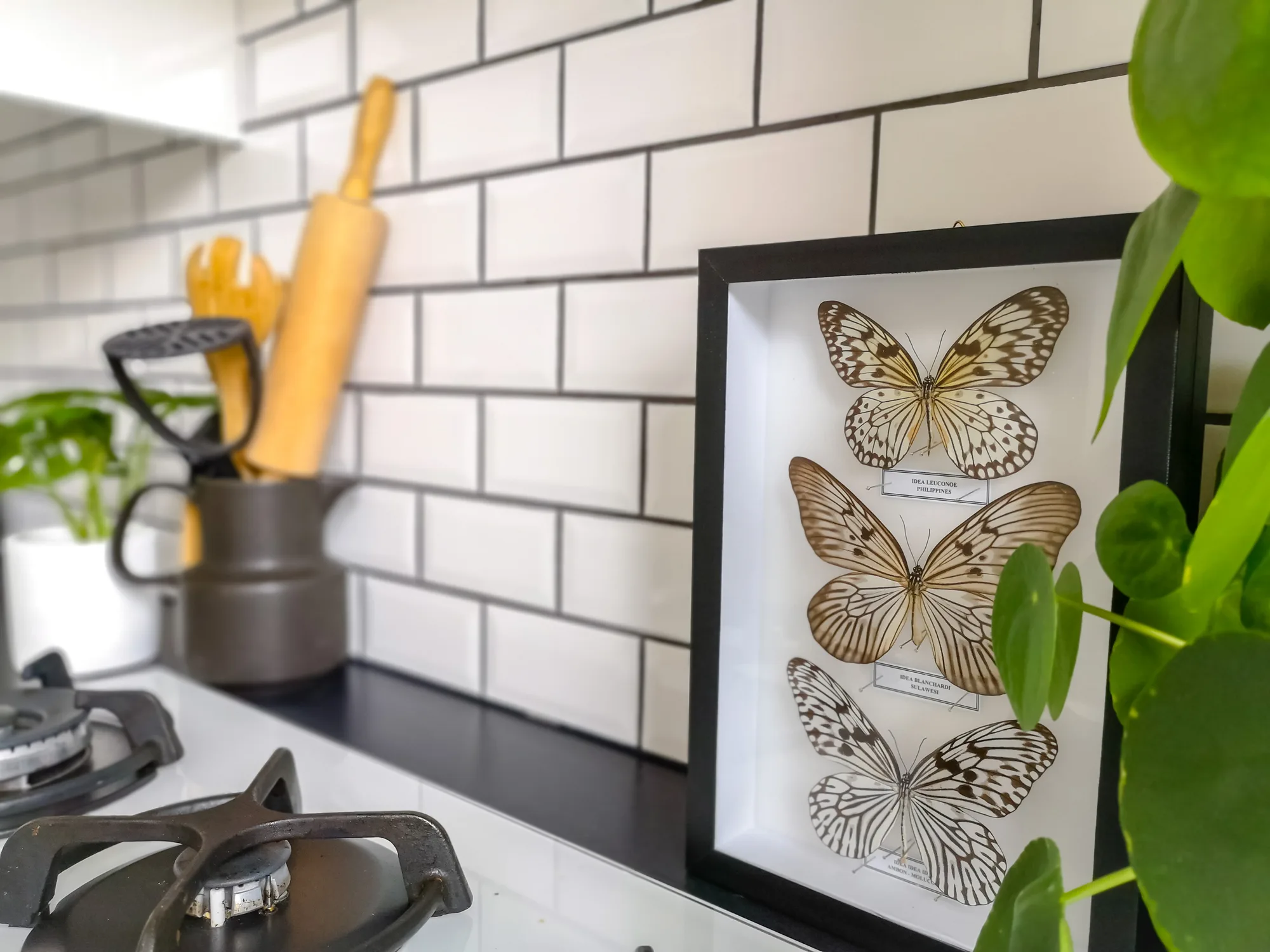 White Subway Tile Black Grout