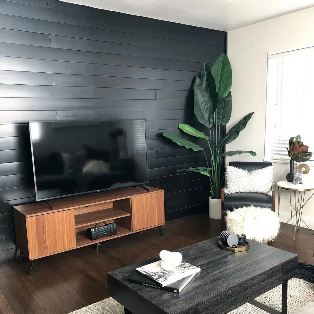 Black Horizontal Shiplap Painted Semi-Gloss In A Living Room